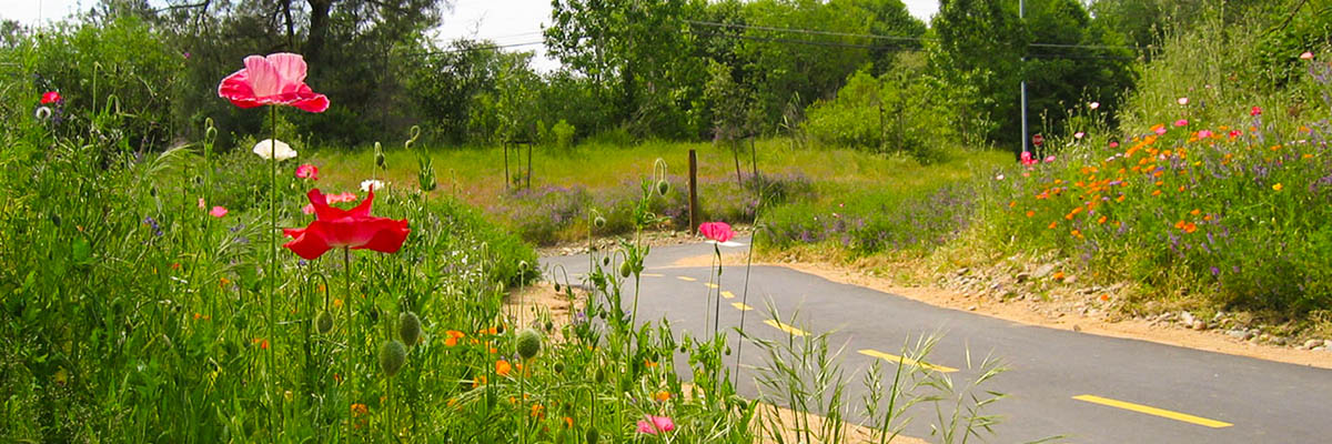 parks Trails banner