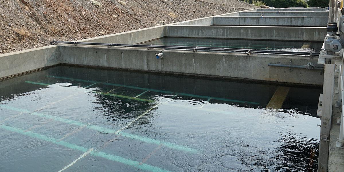 water treatment plant showing tubs of water getting dirt and other debris removed