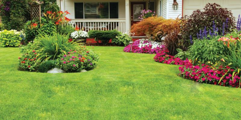 Lawn Care photo of a green maintained front yard with grass and various flowers