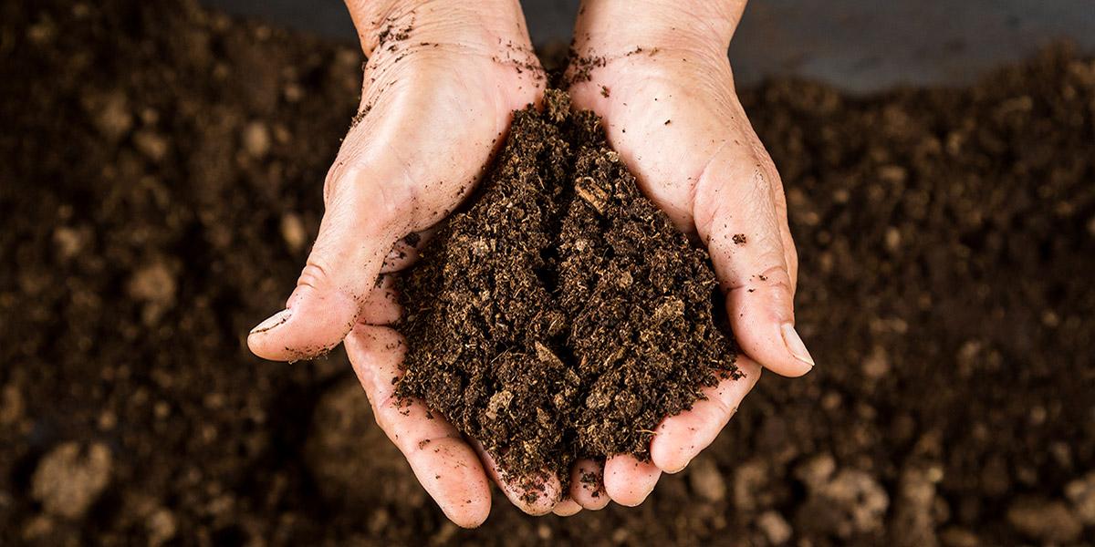 Compost in hands with more dirt and compost in the background