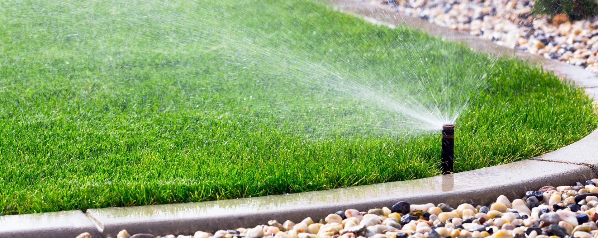 Lawn with Sprinkler