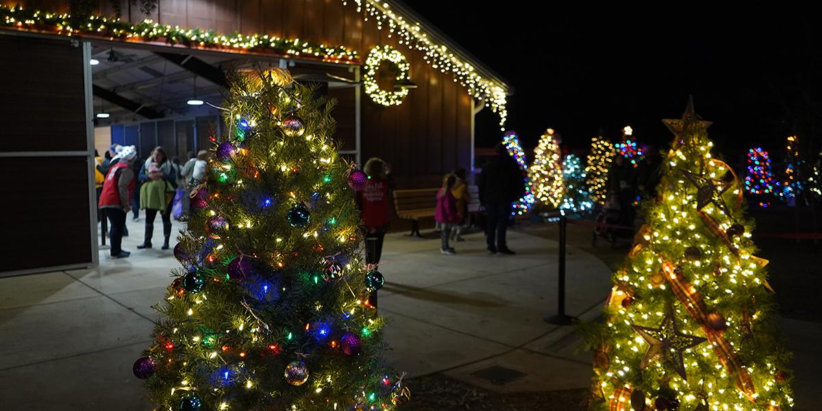 christmas trees at the Folsom Zoo