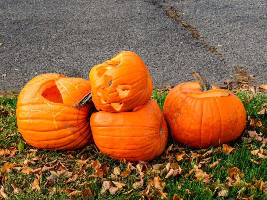 Four carved pumpkins, some with smiling faces and others with geometric patterns, resting on green grass with scattered autumn leaves nearby.