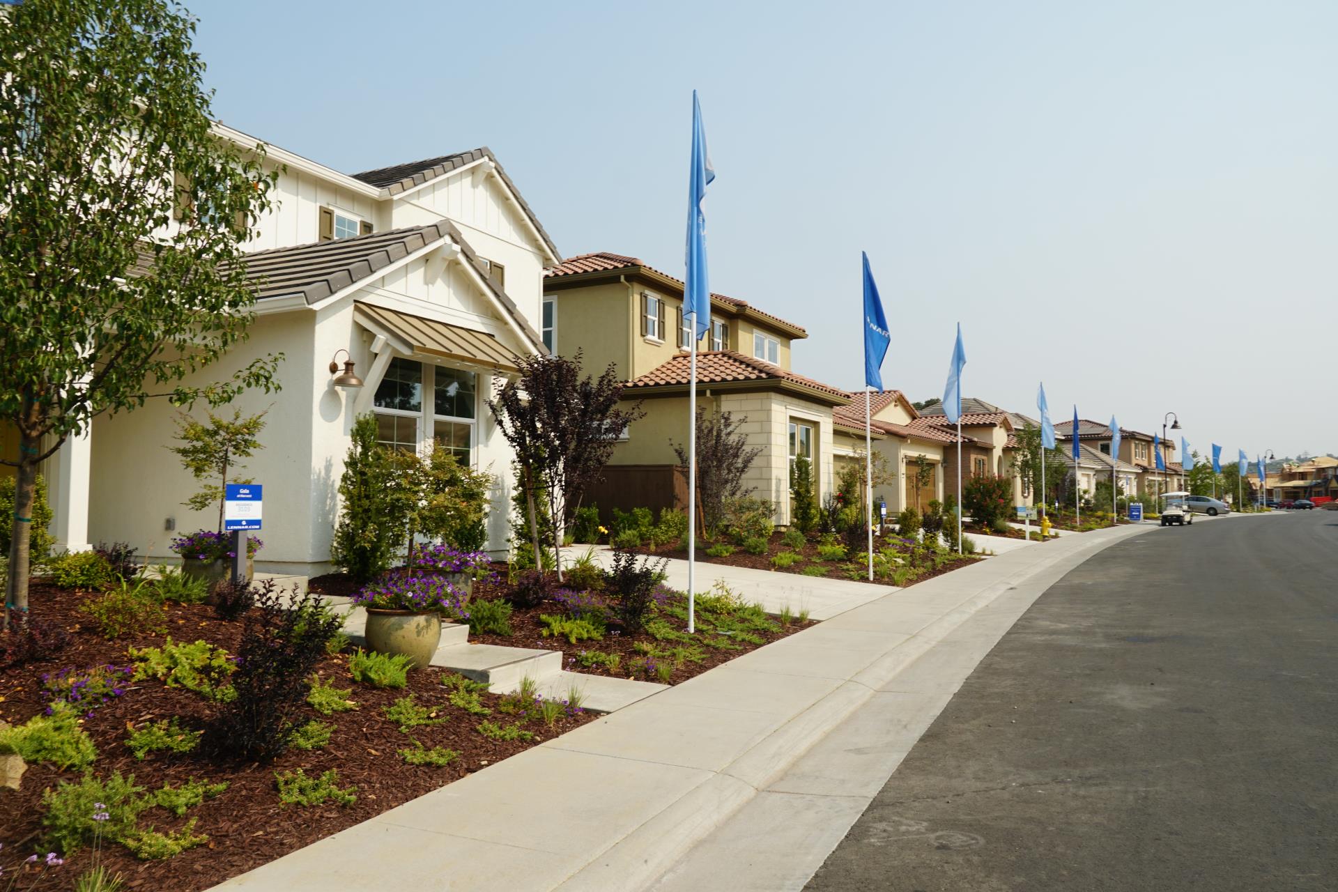 Harvest new development photos of several new houses that all have a small front yard filled with plants and trees. There are blue housing development Lenna flags in front of the properties.