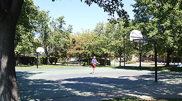 Bud Basketball