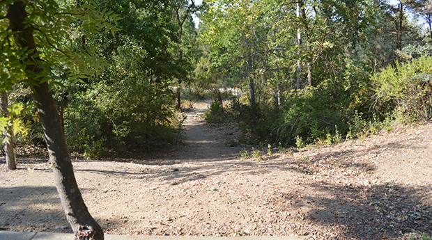 Cambridge Trail Access